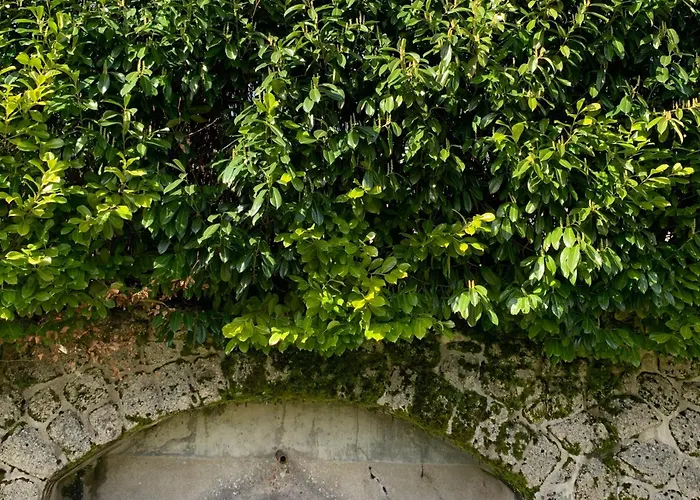 Le Château de Saint-Angel, Le Manoir du Rigouneix, 5 minutes A89, nature, calme, sauna